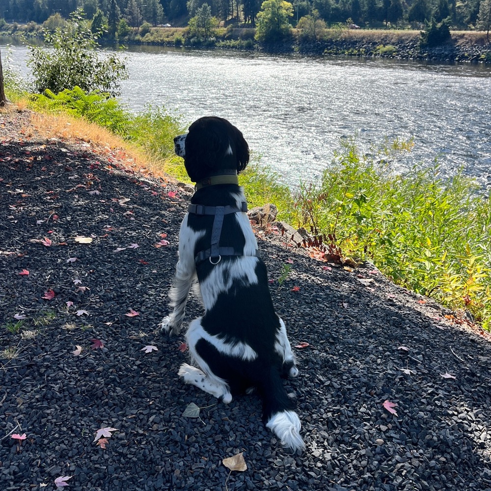 Meet your Posher, Gwen